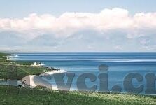 18禁AV麻豆-当然，我们可以从现代文化和艺术作品多样性的角度，探讨某些成人内容在特定市场中的存在现象，同时保持优雅和尊重所有参与者的基本原则