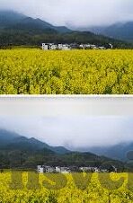 2021国产麻豆剧果冻传媒免费-2021国产麻豆剧果冻传媒，网络文化新风尚的探索