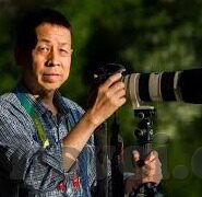 91麻豆果冻传媒-可以是，穿过多重棱镜，网络文化与公共讨论的交叉视野