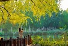 91麻豆精品91av久久久久久-从创意激发到文化边界，构建数据驱动的成人内容替代视角