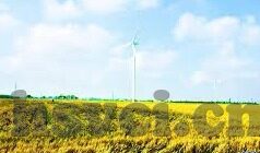 av在线日韩亚洲色图-探索AV在线日韩亚洲色图，文化、艺术与误解的交织