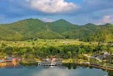 大象传媒 国产-国产大象传媒，文化传承与创新的桥梁