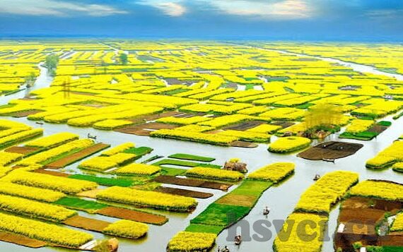 大象传媒免费进入713672-探索大象传媒的免费进入713672，数字时代的文化桥梁