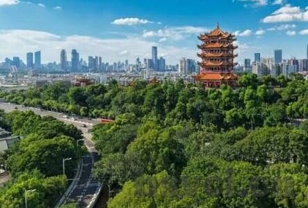 大象传媒最新app-大象传媒最新APP，重塑娱乐体验的革新之作
