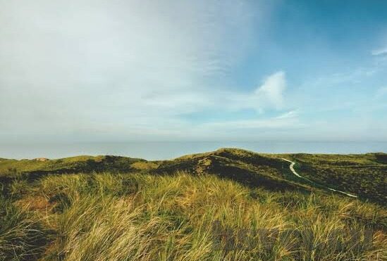 久久精品国产亚洲av麻豆天堂-新视角解析成年人娱乐，久久精品国产影音之路的探境