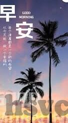 麻豆传媒全集免费网址-麻豆传媒，揭开网络资源全面探索的序幕