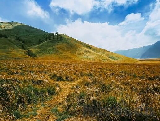 潘甜甜 果冻传媒 在线-潘甜甜与果冻传媒，在线世界的独特风景