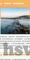 四虎精品成人免费视频-四虎精品成人免费视频，网络时代的娱乐与界限