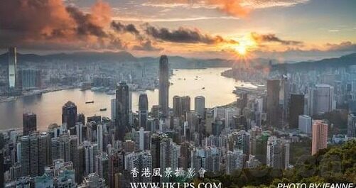 糖心app福引导网站大全-