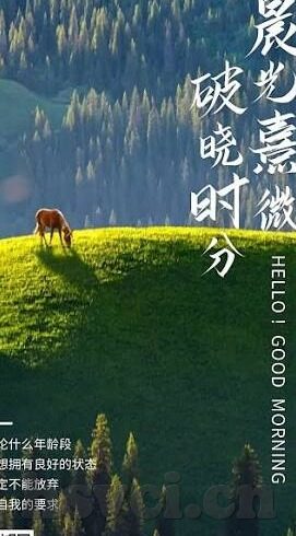 糖心app特色-洞见糖心——探索独特魅力与用户体验的深度融合