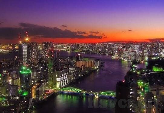 糖心视频网站app-紧跟数字时代步伐，揭秘糖心视频APP背后的真相与影响