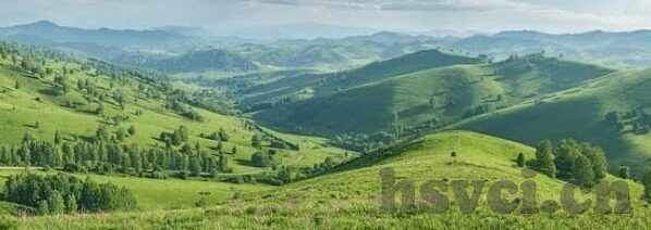 亚洲人妻自拍-亚洲人妻自拍的多元视角与文化反思