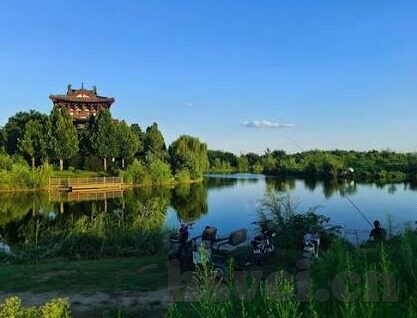 中文字幕在线播放第20页-探索中文影视新境界，第20页的精彩
